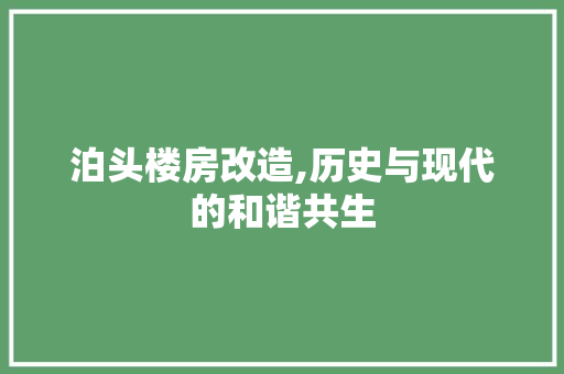 泊头楼房改造,历史与现代的和谐共生