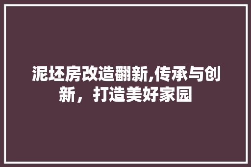 泥坯房改造翻新,传承与创新，打造美好家园