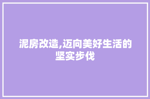 泥房改造,迈向美好生活的坚实步伐