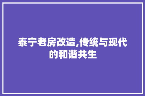 泰宁老房改造,传统与现代的和谐共生