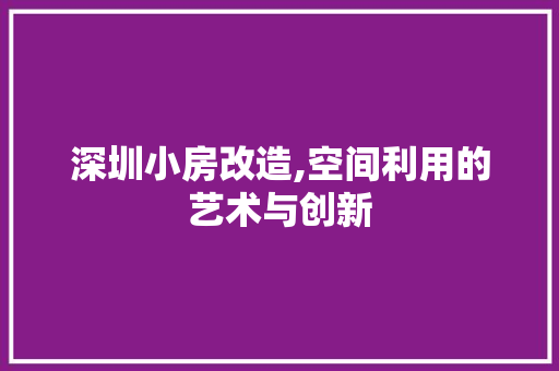 深圳小房改造,空间利用的艺术与创新