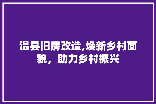 温县旧房改造,焕新乡村面貌，助力乡村振兴