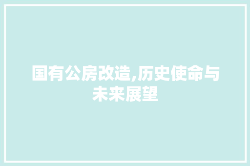 国有公房改造,历史使命与未来展望