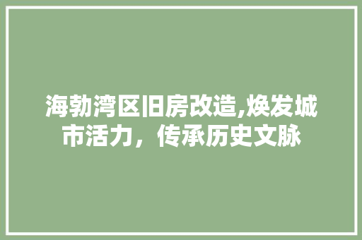 海勃湾区旧房改造,焕发城市活力，传承历史文脉