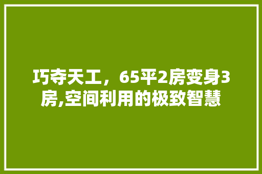巧夺天工，65平2房变身3房,空间利用的极致智慧