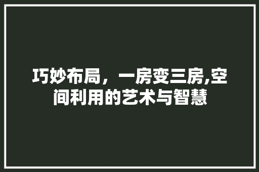 巧妙布局，一房变三房,空间利用的艺术与智慧
