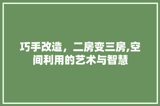 巧手改造，二房变三房,空间利用的艺术与智慧