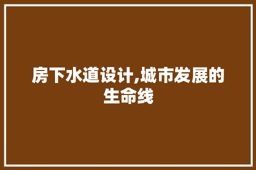 房下水道设计,城市发展的生命线