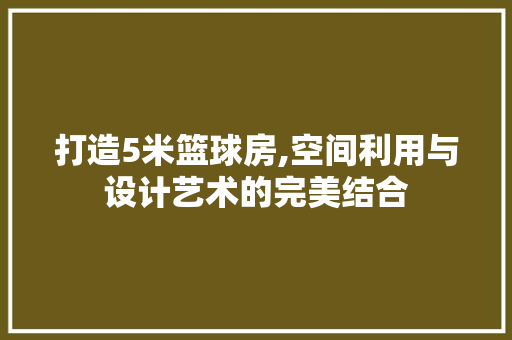 打造5米篮球房,空间利用与设计艺术的完美结合