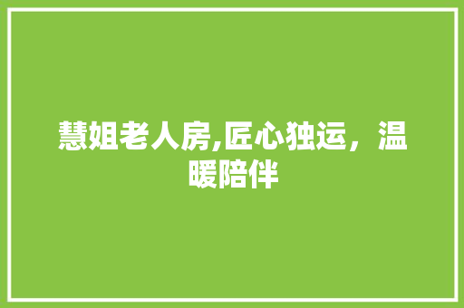 慧姐老人房,匠心独运，温暖陪伴