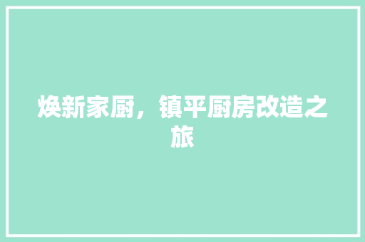 焕新家厨，镇平厨房改造之旅
