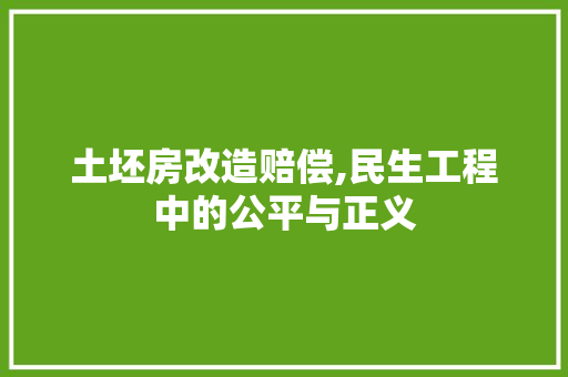 土坯房改造赔偿,民生工程中的公平与正义