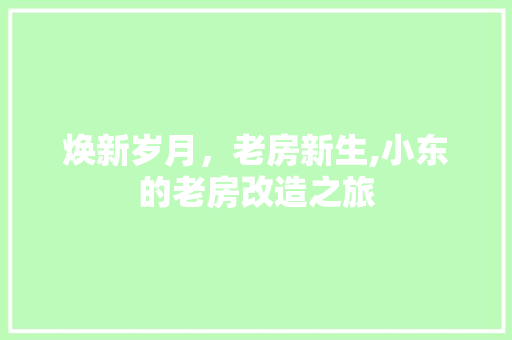 焕新岁月，老房新生,小东的老房改造之旅
