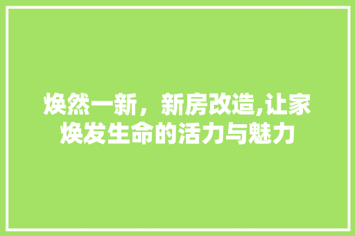 焕然一新，新房改造,让家焕发生命的活力与魅力