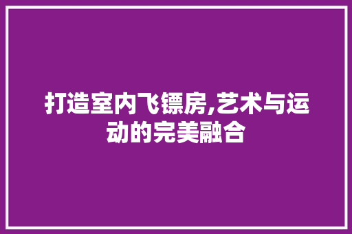 打造室内飞镖房,艺术与运动的完美融合