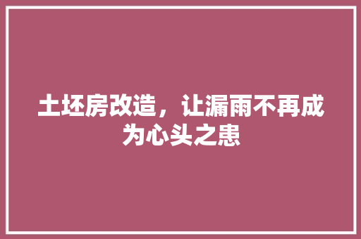 土坯房改造，让漏雨不再成为心头之患