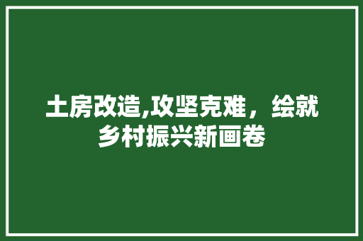 土房改造,攻坚克难，绘就乡村振兴新画卷