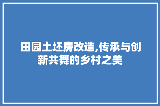 田园土坯房改造,传承与创新共舞的乡村之美
