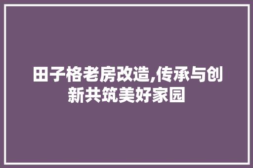 田子格老房改造,传承与创新共筑美好家园