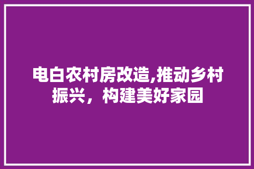 电白农村房改造,推动乡村振兴，构建美好家园