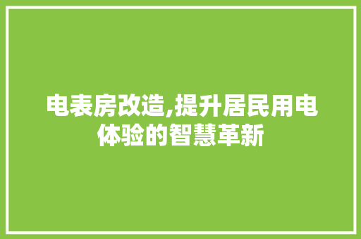 电表房改造,提升居民用电体验的智慧革新