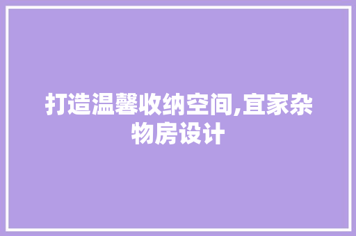 打造温馨收纳空间,宜家杂物房设计