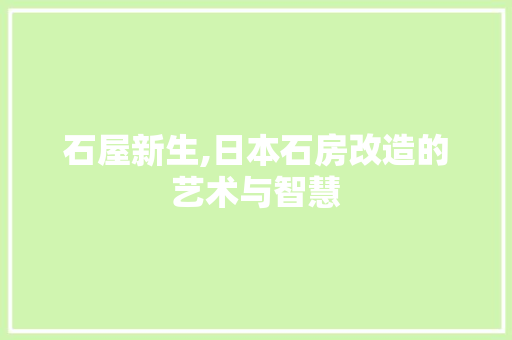 石屋新生,日本石房改造的艺术与智慧