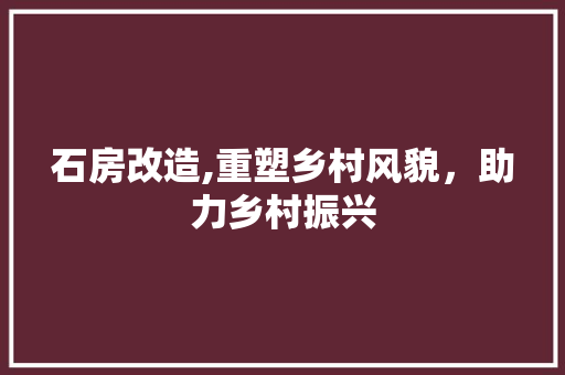 石房改造,重塑乡村风貌，助力乡村振兴