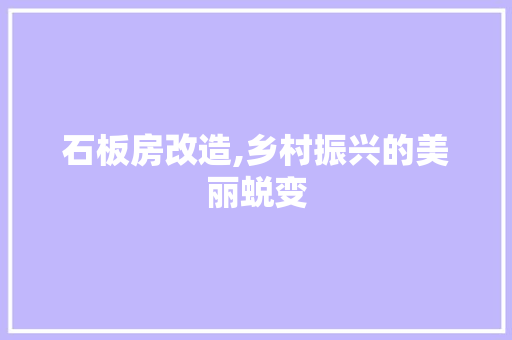 石板房改造,乡村振兴的美丽蜕变