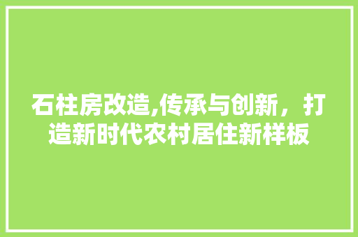 石柱房改造,传承与创新，打造新时代农村居住新样板
