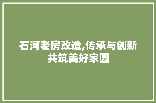 石河老房改造,传承与创新共筑美好家园