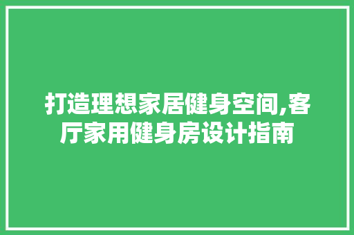 打造理想家居健身空间,客厅家用健身房设计指南
