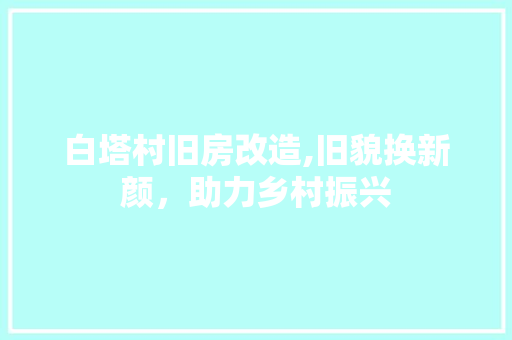 白塔村旧房改造,旧貌换新颜，助力乡村振兴