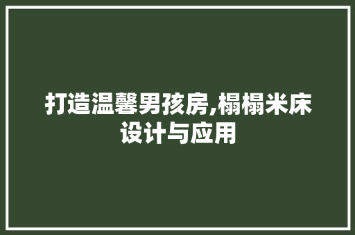 打造温馨男孩房,榻榻米床设计与应用