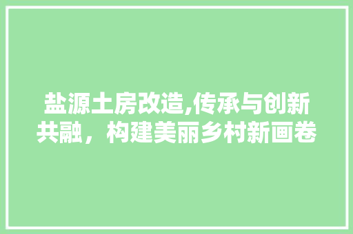 盐源土房改造,传承与创新共融，构建美丽乡村新画卷