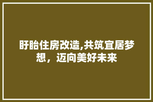 盱眙住房改造,共筑宜居梦想，迈向美好未来