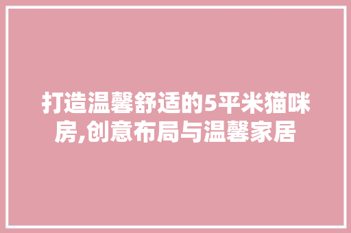 打造温馨舒适的5平米猫咪房,创意布局与温馨家居
