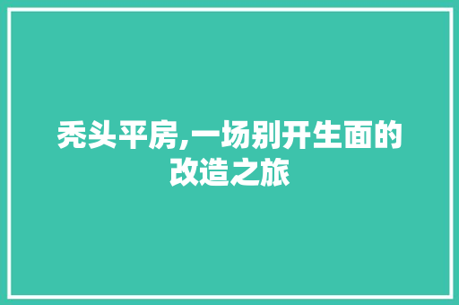 秃头平房,一场别开生面的改造之旅