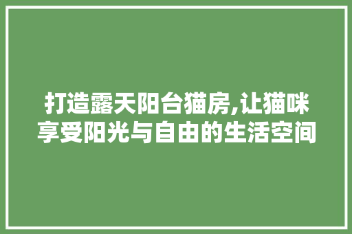 打造露天阳台猫房,让猫咪享受阳光与自由的生活空间
