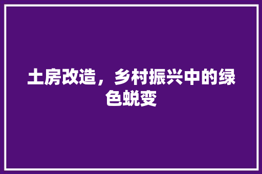 土房改造，乡村振兴中的绿色蜕变