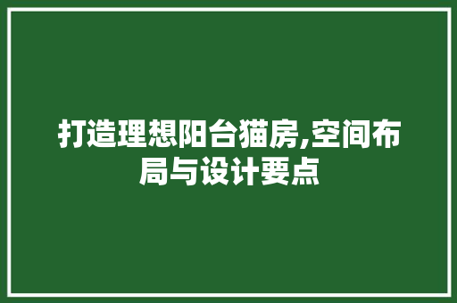 打造理想阳台猫房,空间布局与设计要点