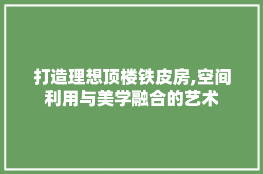 打造理想顶楼铁皮房,空间利用与美学融合的艺术