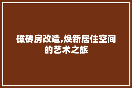 磁砖房改造,焕新居住空间的艺术之旅