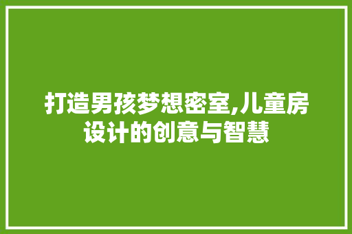 打造男孩梦想密室,儿童房设计的创意与智慧