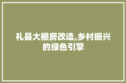 礼县大棚房改造,乡村振兴的绿色引擎