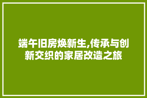 端午旧房焕新生,传承与创新交织的家居改造之旅