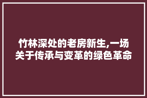 竹林深处的老房新生,一场关于传承与变革的绿色革命