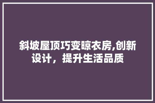 斜坡屋顶巧变晾衣房,创新设计，提升生活品质