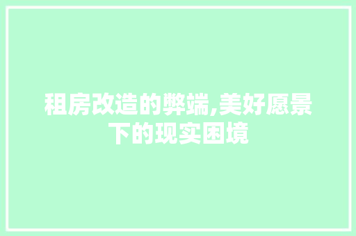 租房改造的弊端,美好愿景下的现实困境