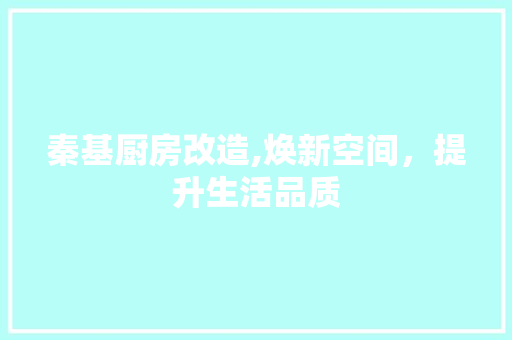 秦基厨房改造,焕新空间，提升生活品质